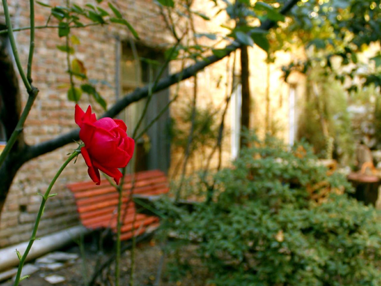 Colors Hostel Tbiliszi Kültér fotó